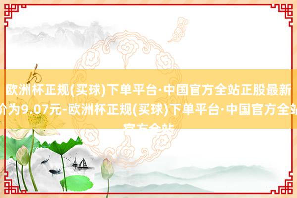 欧洲杯正规(买球)下单平台·中国官方全站正股最新价为9.07元-欧洲杯正规(买球)下单平台·中国官方全站