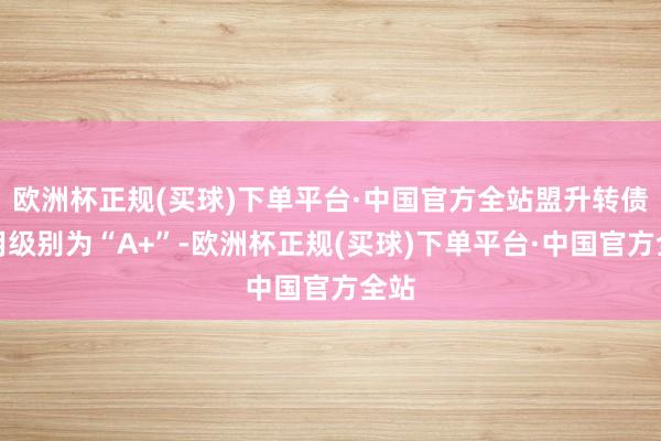 欧洲杯正规(买球)下单平台·中国官方全站盟升转债信用级别为“A+”-欧洲杯正规(买球)下单平台·中国官方全站